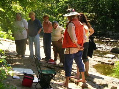 Painting In Muskoka